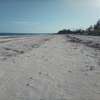 50-Acre Beach Plot For Sale in Bofa/Kilifi thumb 9