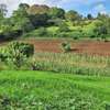 1 ac Residential Land at Kentmere thumb 2