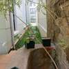 4 Bed Villa with En Suite in Westlands Area thumb 3