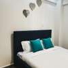 Furnished 2 Bed Apartment with En Suite in Riverside thumb 8