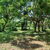2.5 ac Land at Serena thumb 12