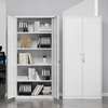 Office Cabinet: 2-Door Metallic Office Cabinet thumb 2