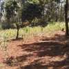0.5 ac residential land for sale in Ngong thumb 5