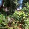 4 Bed House with En Suite in Loresho thumb 2