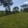 5 ac Land in Kitisuru thumb 2