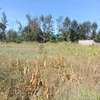 ½ ACRE LAND AT KENOL TOWN IN MURANGA COUNTY thumb 5