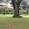 4 Bed House with Swimming Pool in Muthaiga thumb 17