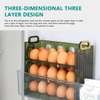 30 Egg Household Storage Box thumb 2