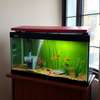 Red Desktop Aquariums thumb 0