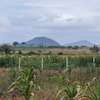 400 m² residential land for sale in Naivasha thumb 3
