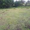 Lovely 2 Acre Land in Ongata Rongai thumb 10