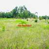 0.05 ha Residential Land at Lusigetti thumb 5