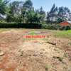 0.05 ha Residential Land at Ondiri thumb 16