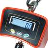 High Precision Hanging Scale 500KG thumb 0