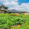 0.05 ha Residential Land at Kamangu thumb 5