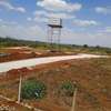 Prime and serviced 1/4 acre plots - Kiambu thumb 2
