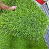 grass carpet now available thumb 4