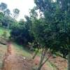 218 Acres touches Athi-River in Kibwezi Makueni County thumb 7