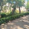 1,500 ft² Residential Land at Jamuhuri Road Nyali thumb 5