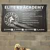 Elite K9 Academy Trained Guard Dog thumb 2