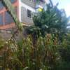 50by100 plot for sale in ruaka thumb 0
