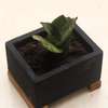 Tekili planter box thumb 3