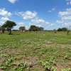 Azizi Gardens | Prime Plots for Sale in Malindi thumb 3