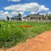 0.1 ha Residential Land at Lusigetti thumb 24