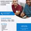 Nursing Assistant and Caregiver Course thumb 0