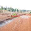 Prime Residental plots for sale in Kikuyu,karai-Migumoini thumb 3