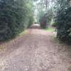 Lovely One Eighth Plots in Ongata Rongai thumb 8