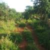 600 Acres For Sale in Mutha Region of Kitui County thumb 3