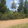 1/8 acre plots for sale - Ruiru, Kiambu thumb 1
