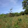 175 Acres Touching River Is Available For Sale in Baricho thumb 1