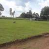 1/4 ACRE PLOT ON SALE IN ROYALTON SEKEMIAT ELDORET thumb 3