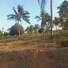 Land at Mavueni Kaloleni Road thumb 1