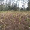 0.5 ac Residential Land in Ngong thumb 0