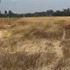 30 ac land for sale in Nyandarua County thumb 2