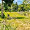 0.045 ha Land at Diani thumb 9