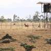 Affordable plots for sale in Isinya thumb 0