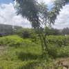 1/4 Acre Prime Land for Sale – Toll Opposite Ruiru Golf thumb 7