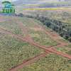 Residential Land in Juja thumb 12