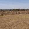 0.25 ac Land at Kipkorgot thumb 3
