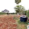 Prime 1/4 acre plot for sale in Daykio Bustani Ruiru thumb 1