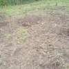 Beautiful one eighth plots in Ngong thumb 2