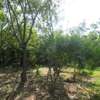 1 ac Commercial Land at Diani thumb 19