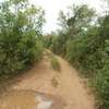 Land in Mombasa CBD thumb 10