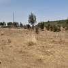 0.25 ac Land at Kipkorgot thumb 30