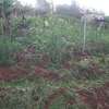Beautiful one eighth plots in Ngong thumb 1
