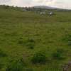 1 acre, beautiful land olooloitikosh thumb 0